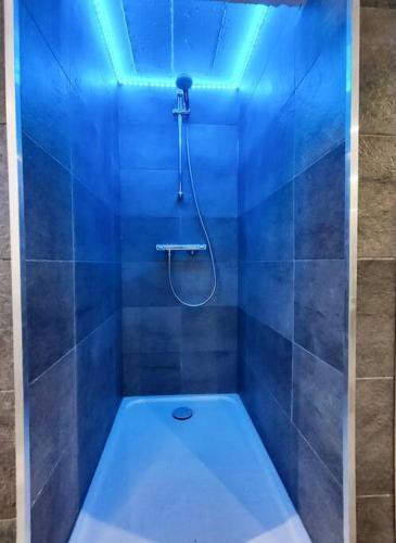 La salle de bains bleue est pourvue d'une douche et de toilettes. dans l'établissement SPA 100m plage BRASERO design KITESURF, à Berck-sur-Mer
