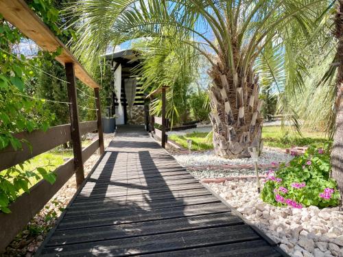 a walkway in a garden with palm trees and flowers at Appartement in Flayosc