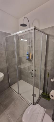 W łazience znajduje się kabina prysznicowa i toaleta. w obiekcie Al Nido Della Stazione w mieście Lugano