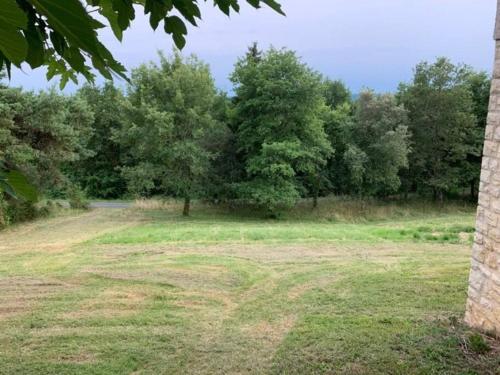 un champ herbeux avec des arbres en arrière-plan dans l'établissement Gîte le Tilleul, à Les Farges