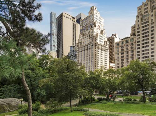 un parc de la ville avec de grands bâtiments dans l'établissement The Ritz-Carlton New York, Central Park, à New York