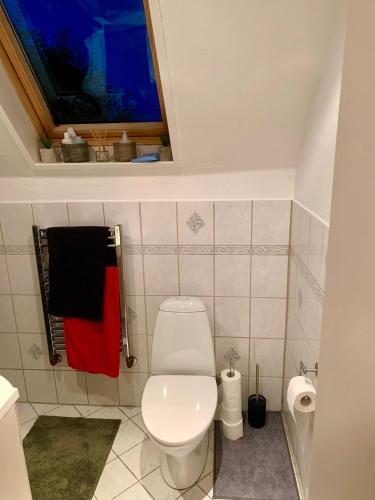 a bathroom with a white toilet and a window at Big villa in stege near møns klint with trampolin in Stege