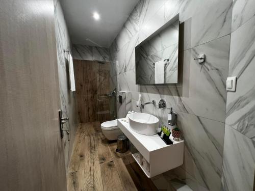 a bathroom with a sink and a toilet and a mirror at Veni's Apartments in Potos