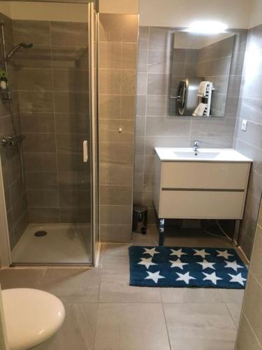 une salle de bain avec une douche, un lavabo et des toilettes dans l'établissement Splendide studio, 10' a pied de Monaco + parking, à Beausoleil