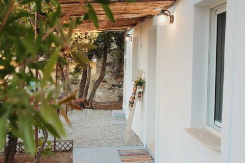 Zahrada ubytování Myrtus Guest House