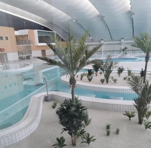 - une grande piscine avec des palmiers dans un bâtiment dans l'établissement Maison Individuelle Cozy Asterix, CDG, Paris, Disney, Olympic Games 2024, à La Chapelle-en-Serval