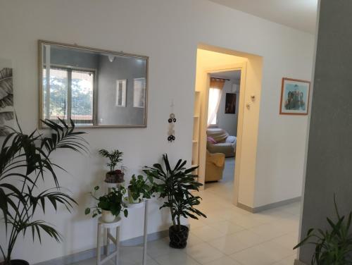 Foto dalla galleria di Da Maurizio e Luisa a Castiadas