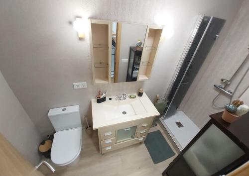 奧亨的住宿－El Molinillo，一间带卫生间、水槽和镜子的浴室