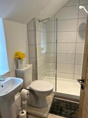 a bathroom with a shower and a toilet and a sink at Pendragon in Penzance