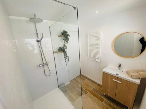 une salle de bain avec une douche, un lavabo et un miroir dans l'établissement Les Deux Anges, à Rouen