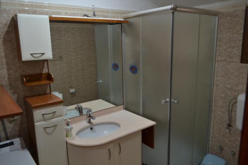une petite salle de bain avec un lavabo et une douche dans l'établissement Apartment Peloža 1, à Poreč