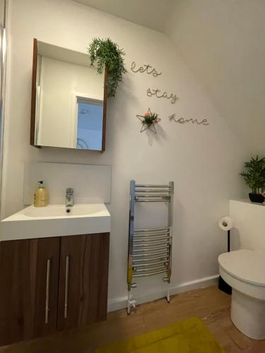a bathroom with a sink and a mirror and a toilet at One Bed Apartment Stevenage in Stevenage