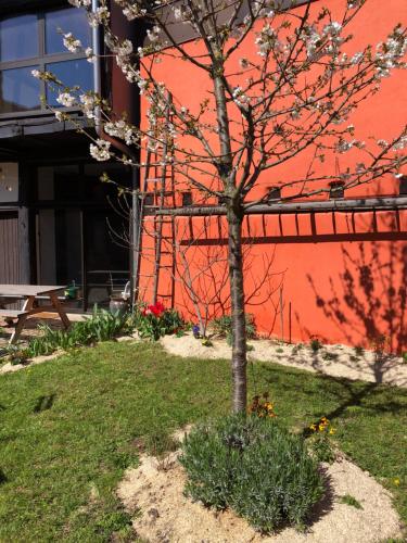 B&B Le TooCool – Photos 4