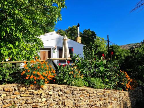 a stone wall with flowers in front of a house at Casas Rurales Los Enebros Nerpio in Nerpio