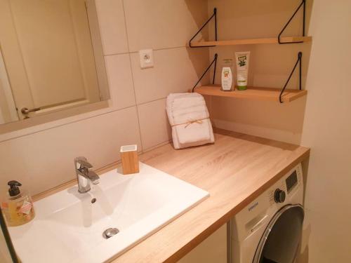 Koupelna v ubytování Spacieux Appartement au Calme 15min sud de Lyon proche Métro et Gare Confluence Aquarium Gerland