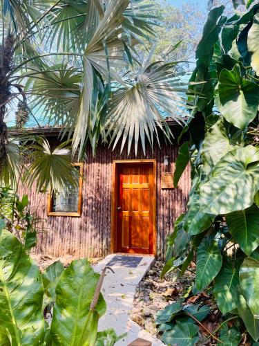 a house with a red door in a forest at Mariposa Jungle Lodge in San Ignacio
