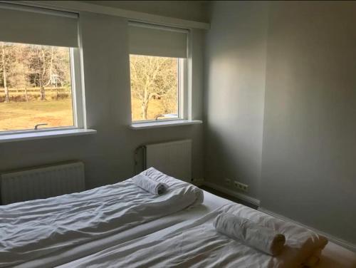 uma cama num quarto com 2 janelas em Laugarvatn Apartment em Laugarvatn