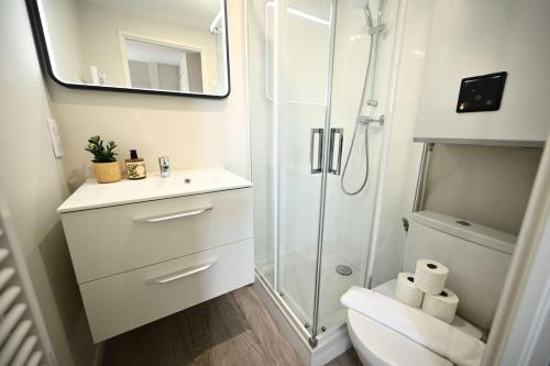 une salle de bain avec une douche, un lavabo et des toilettes dans l'établissement DAUPHINE 2 - HYPERCENTRE HISTORIQUE DE DIJON, à Dijon