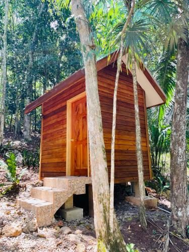 a small wooden cabin in a forest with palm trees at Mariposa Jungle Lodge in San Ignacio