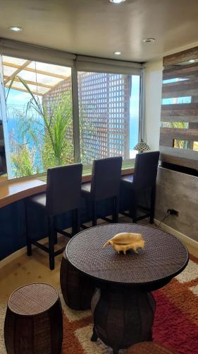 una habitación con una mesa con una tortuga. en Apartamento Mirador, en Viña del Mar