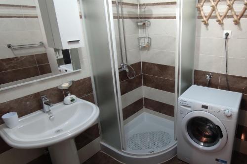 ein Badezimmer mit einem Waschbecken und einer Waschmaschine in der Unterkunft Apartments with a parking space Plaski, Velebit - 20466 in Plaški