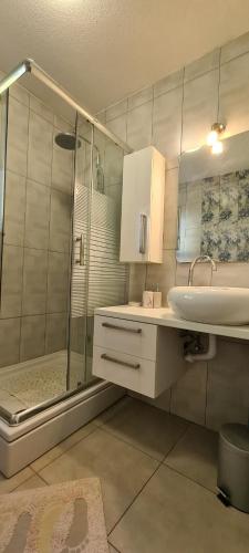 a bathroom with a glass shower and a sink at Apartments Antica in Basina
