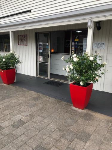 two red pots of flowers in front of a store at Rosetown Motel in Te Awamutu