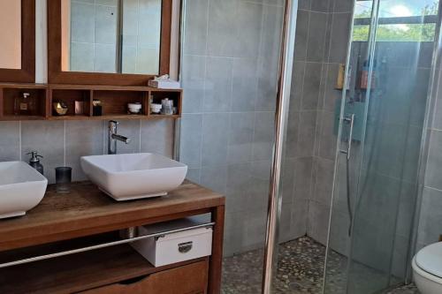 a bathroom with a sink and a shower at Villa TYNO in Le Moule