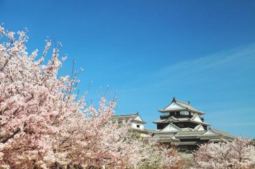 a japanese building withakura trees in front of it at HOTEL MYSTAYS Matsuyama in Matsuyama