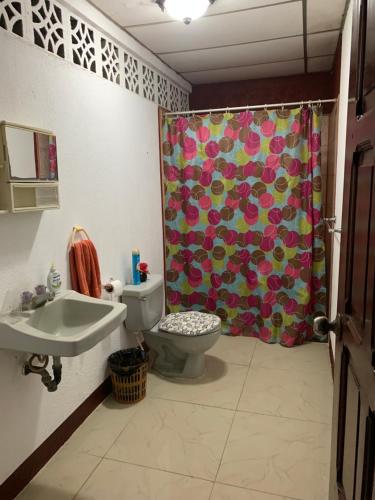 a bathroom with a toilet and a shower curtain at Habitación en casa Familiar in León