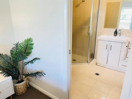 y baño con ducha y planta. en Sophisticated City Retreat with All the Comforts, en Wagga Wagga