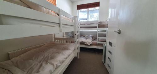 a room with two bunk beds and a window at Beehive 18 in Mount Buller