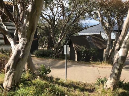 a street sign in the grass next to a tree at Beehive 18 in Mount Buller