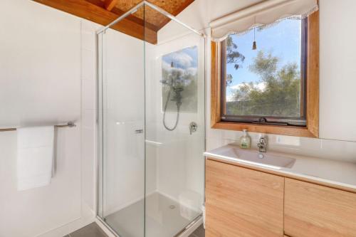 een badkamer met een douche en een wastafel bij 41Alpine Ridge Drive in Merrijig