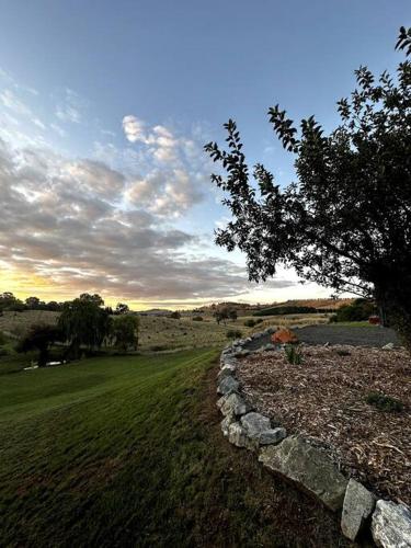 a stone path in a field with a tree at The Horned Cow - award winning luxe semi-rural house 10mins from Orange in Lucknow