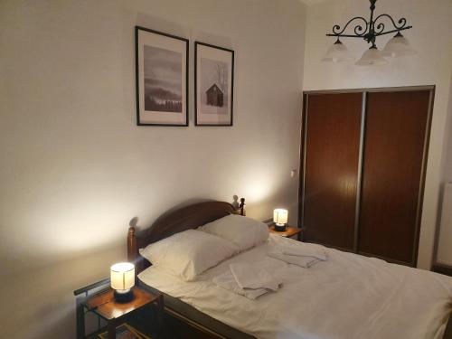 een slaapkamer met een bed met twee verlichting bij Adventure apartamentai in Druskininkai