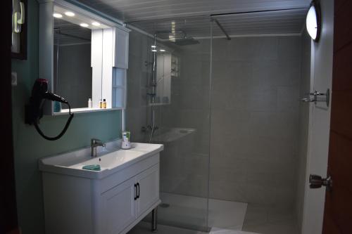 a bathroom with a sink and a glass shower at Fare Aute Beach in Vaianae
