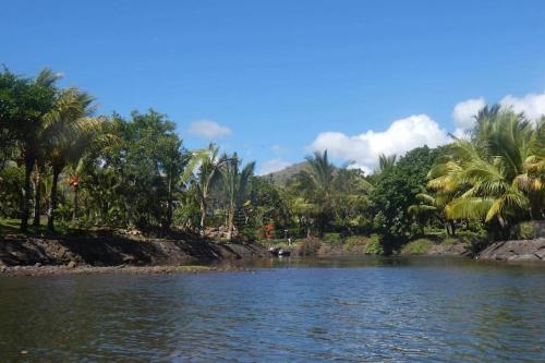 un río con palmeras en la orilla en Pieds dans l'eau et spacieux en Rivière Noire