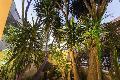 a group of palm trees in front of a building at B&B Luxury in Lecce