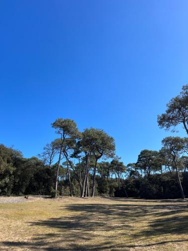 un campo con árboles y un cielo azul en mobhilhome saint brevin, en LʼErmitage
