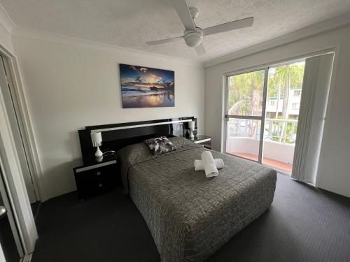 黃金海岸的住宿－瀑布花園公寓式酒店，一间卧室,床上有一只狗