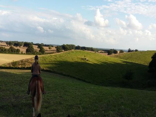a woman riding a horse in a field at Reiterhof Bökensberg in Kasseedorf