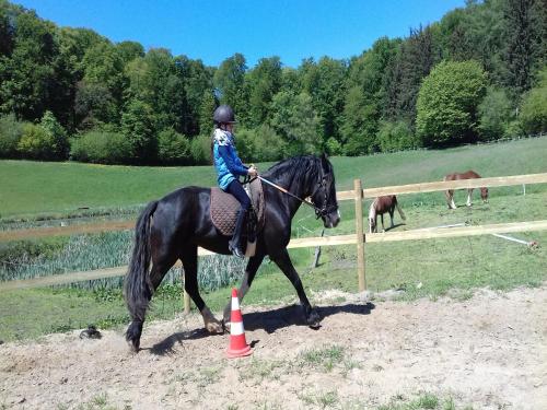 a woman riding a black horse around a cone at Reiterhof Bökensberg in Kasseedorf