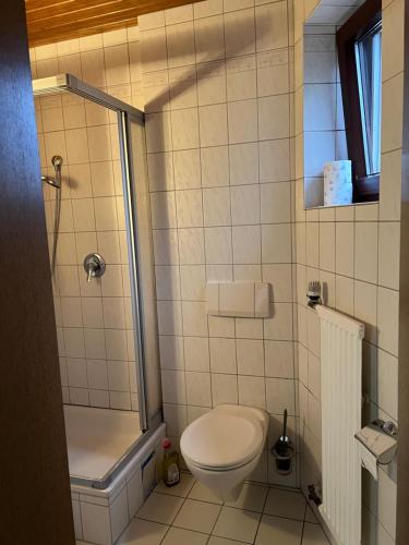 y baño pequeño con aseo y ducha. en Doppelzimmer Nr 4 en Freiensteinau