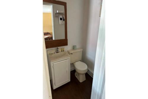 a bathroom with a toilet and a sink and a mirror at Love Hotels Timberline at Lake Superior MI in Ironwood