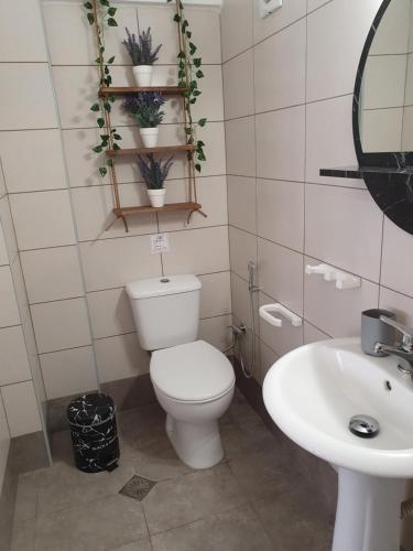 a bathroom with a toilet and a sink at Kalamia's cozy apartment in Pyrgos