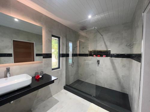 a bathroom with a shower and a sink at Le Port Guest House in Baie Sainte Anne