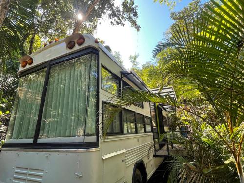 Aurora Bus Home (Green) – Photos 2