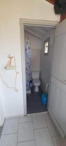 馬拉瑟亞斯的住宿－Elena's house，一间带卫生间的小浴室和浴室门廊
