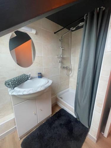 une salle de bain avec un lavabo et une douche dans l'établissement Appartement Cosy et charmant, à Saint Lo